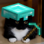 Server Icon