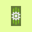 Server favicon