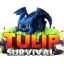 Server Icon