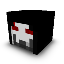 Server Icon