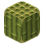 Server Icon