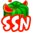 Server Icon