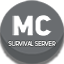 Server Icon