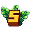 Server Icon