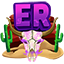 Server Icon