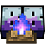 Server Icon