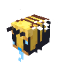 Server Icon