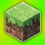 Server favicon