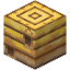 Server Icon