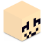 Server Icon