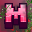 Server favicon