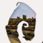 Server Icon