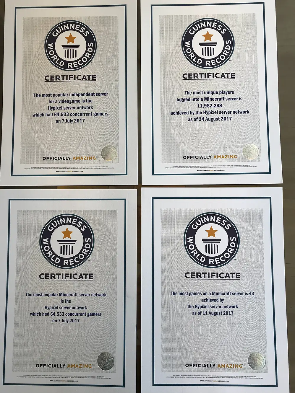 Hypixel Guinness World Record 1