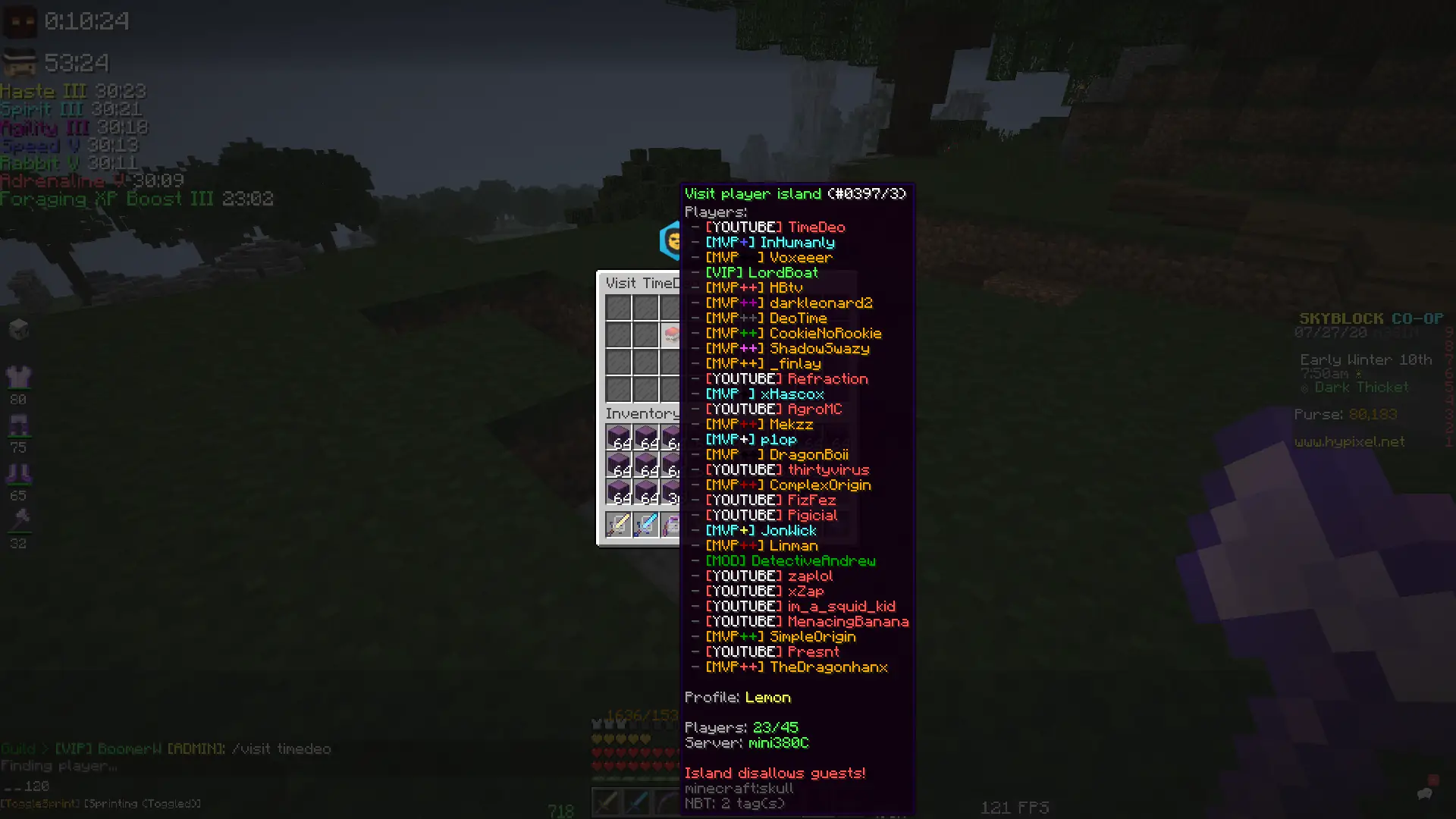 Hypixel SkyBlock Co-op Tips